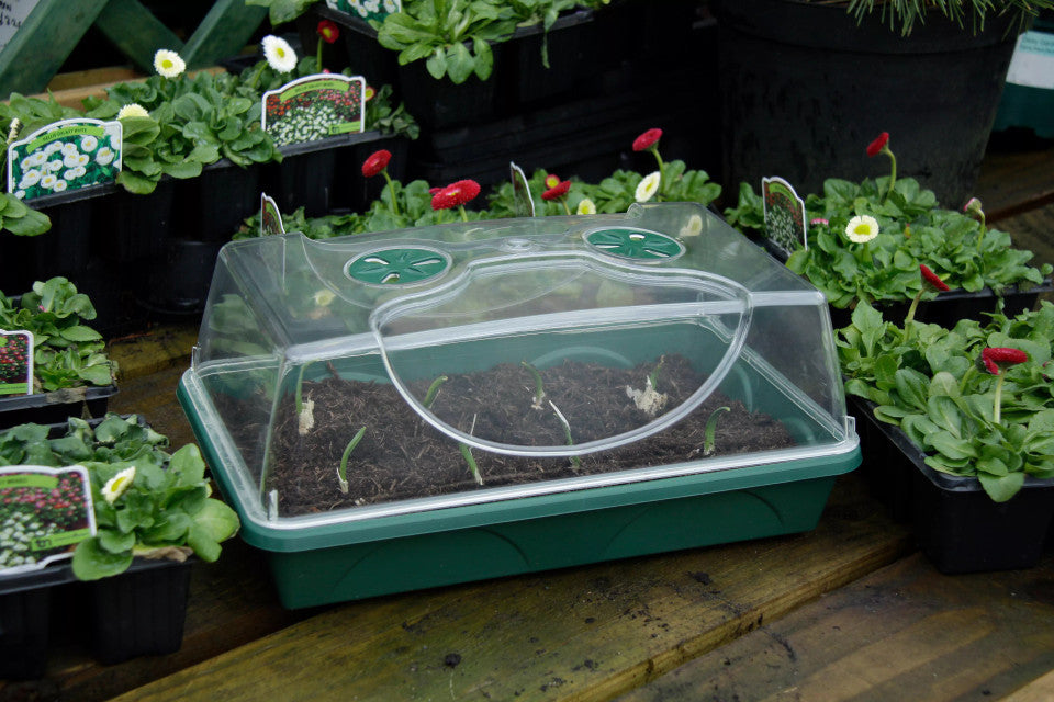 EarlyGrow Medium Propagator