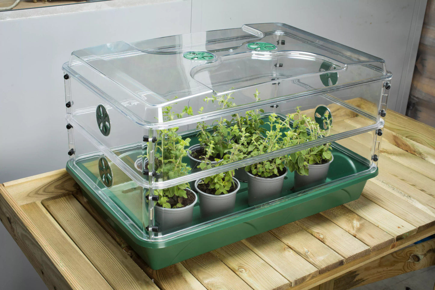 EarlyGrow Domed Propagator with 2 Height Extenders and Locking Clip Set