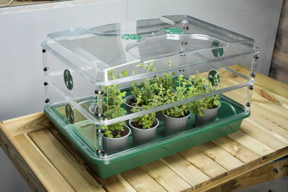 EarlyGrow Domed Propagator with 2 Height Extenders and Locking Clip Set