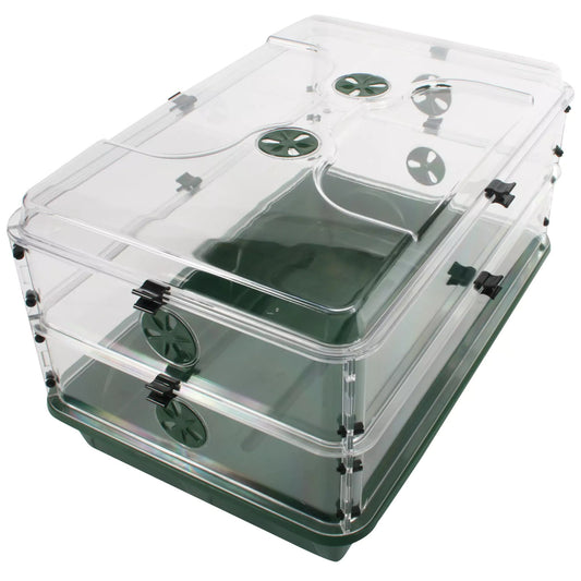 EarlyGrow Domed Propagator with 2 Height Extenders and Locking Clip Set