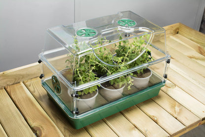 EarlyGrowMedium Seed Herb Domed Propagator with Vented Side Height Extension